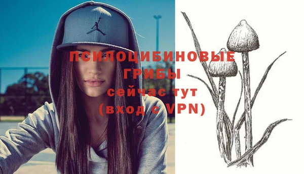 эйфоретик Абдулино