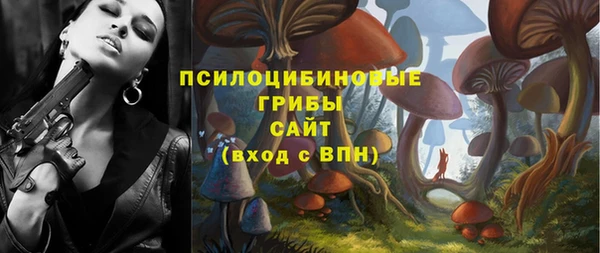 apvp Пересвет