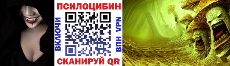 Галлюциногенные грибы GOLDEN TEACHER  где продают   Алатырь 