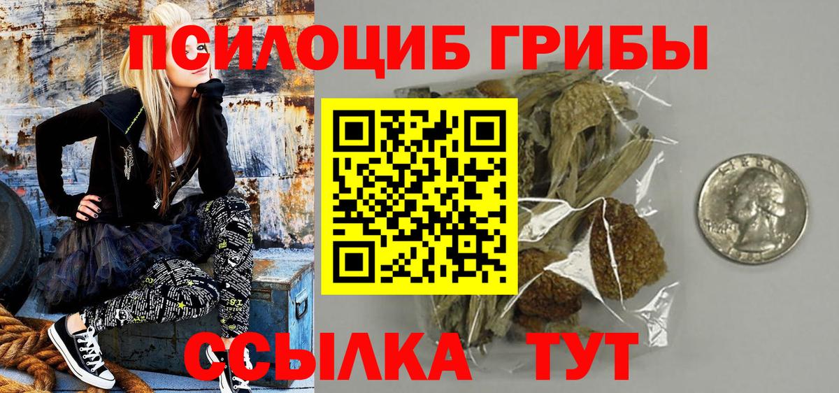 Галлюциногенные грибы MAGIC MUSHROOMS Алатырь