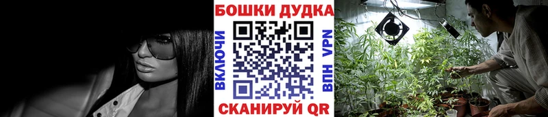 Бошки Шишки ГИДРОПОН Алатырь